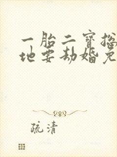 一胎二宝总裁爹地要劫婚免费阅读