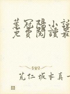 叶冠阳小说全文免费阅读最新章节