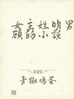 女主姓明男主姓顾的小说