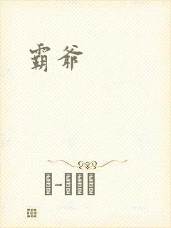 霸爷封面