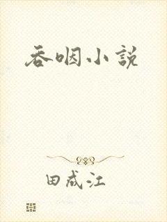 吞咽小说封面