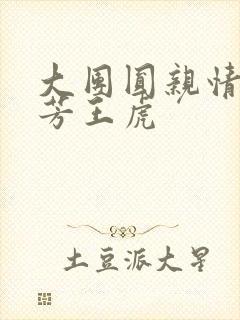 大团圆亲情会王芳王虎封面
