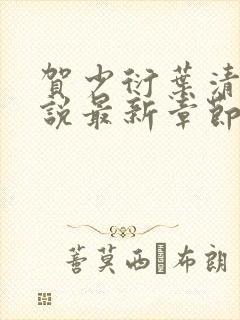 贺少衍叶清栀小说最新章节免费阅读
