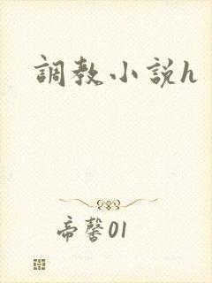 调教小说h