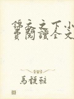 锦衣之下小说免费阅读全文无删减封面
