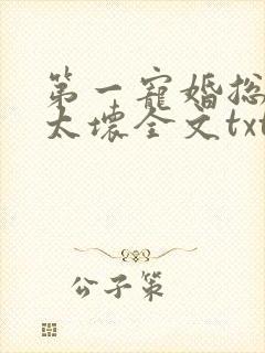 第一宠婚总裁别太坏全文txt