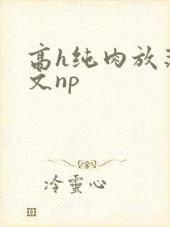 高h纯肉放荡h文np封面