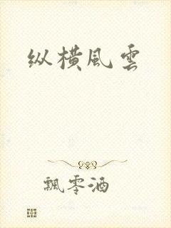纵横风云封面