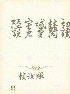陆宇城林初韵小说免费阅读最新章节
