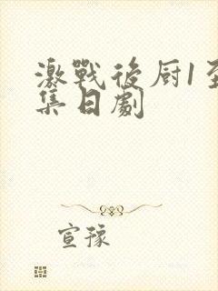 激战后厨1至5集日剧