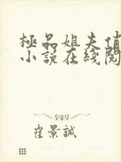 极品姐夫俏小姨小说在线阅读全文免费