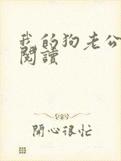 我的狗老公全文阅读