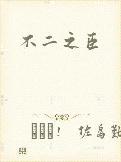 不二之臣