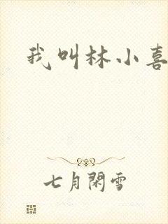我叫林小喜17封面