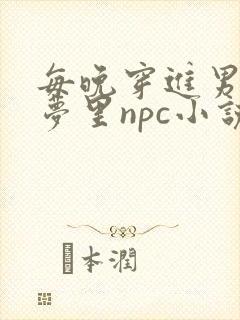 每晚穿进男神的梦里npc小说