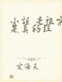 小说 老祖宗她是真的狂