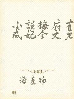 小说梅府有女初成妃全文免费阅读