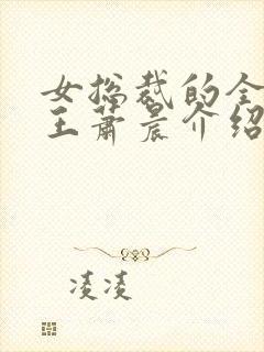 女总裁的全能兵王萧晨介绍