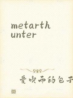 metarthunter