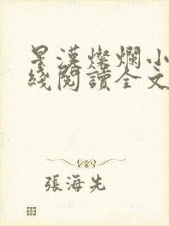 星汉灿烂小说在线阅读全文免费