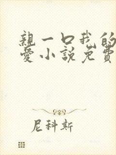 亲一口我的小可爱小说免费阅读全文封面