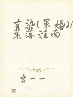 有染(军婚)/叶落淮南