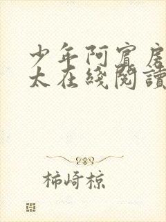 少年阿宾房东太太在线阅读txt