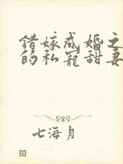 错嫁成婚之总裁的私宠甜妻