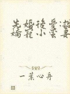 先婚后爱:总裁娇宠小蛮妻