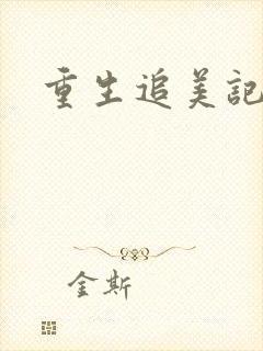 重生追美记2