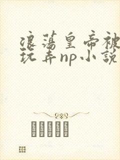 浪荡皇帝被多人玩弄np小说封面