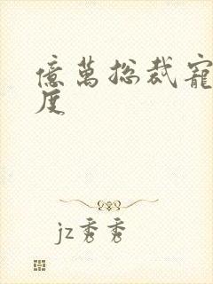 亿万总裁宠妻无度