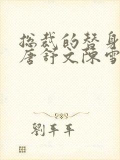 总裁的替身前妻唐舒文陈雪如多少章