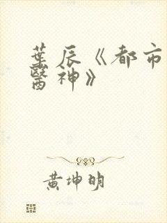 叶辰《都市极品医神》