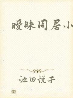 暧昧同居小说