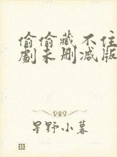 偷偷藏不住广播剧未删减版