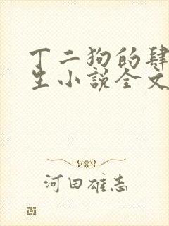 丁二狗的肆意人生小说全文免费阅读封面