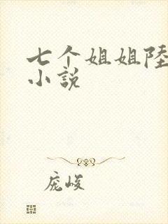 七个姐姐陆云的小说封面