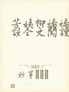 芳姨柳娇娇的小说全文阅读