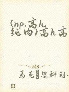 (np,高h,纯肉)高h高辣