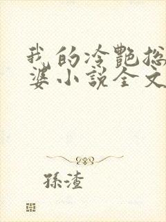 我的冷艳总裁老婆小说全文阅读
