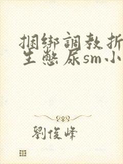 捆绑调教折磨女生憋尿sm小说