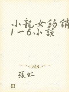 小龙女的销魂夜1一6小说