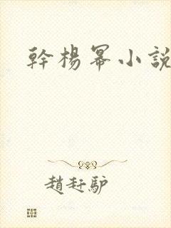 干杨幂小说