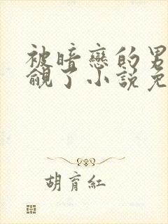 被暗恋的男神觊觎了小说免费阅读