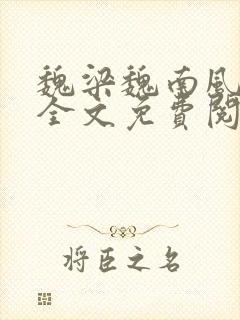 魏梁魏南风po全文免费阅读笔趣阁