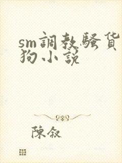 sm调教骚货母狗小说