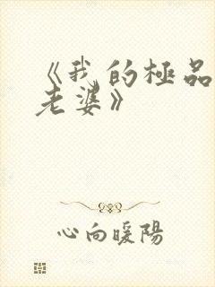 《我的极品美女老婆》封面