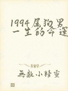 1994属狗男一生的命运