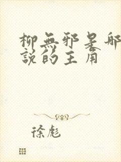 柳无邪是哪本小说的主角